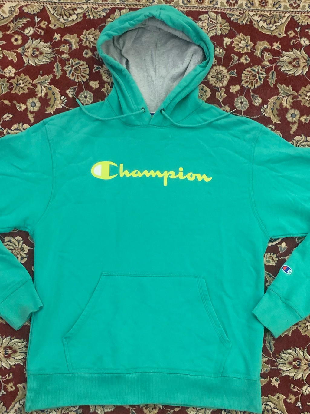 Champion Cotton/Poly Teal Hoodie